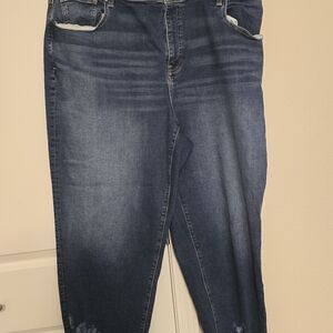 Lane Bryant Dark Blue Skinny Jeans